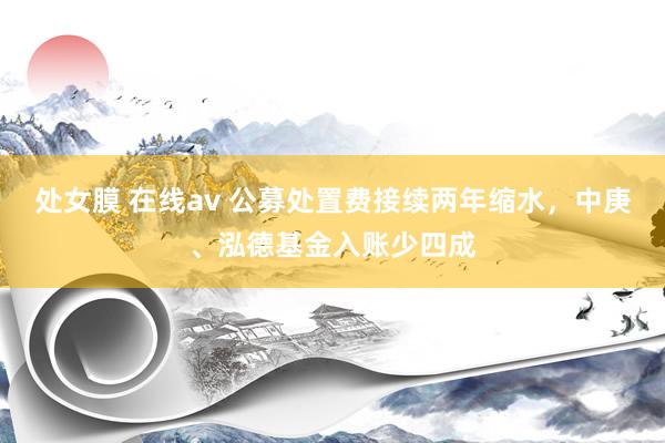 处女膜 在线av 公募处置费接续两年缩水，中庚、泓德基金入账少四成